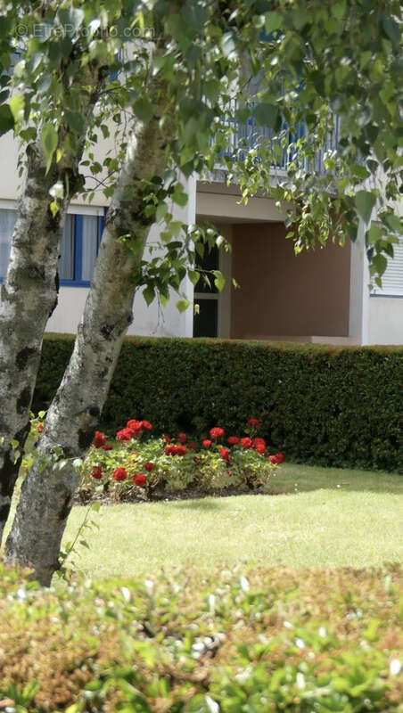 Appartement à ANGERS