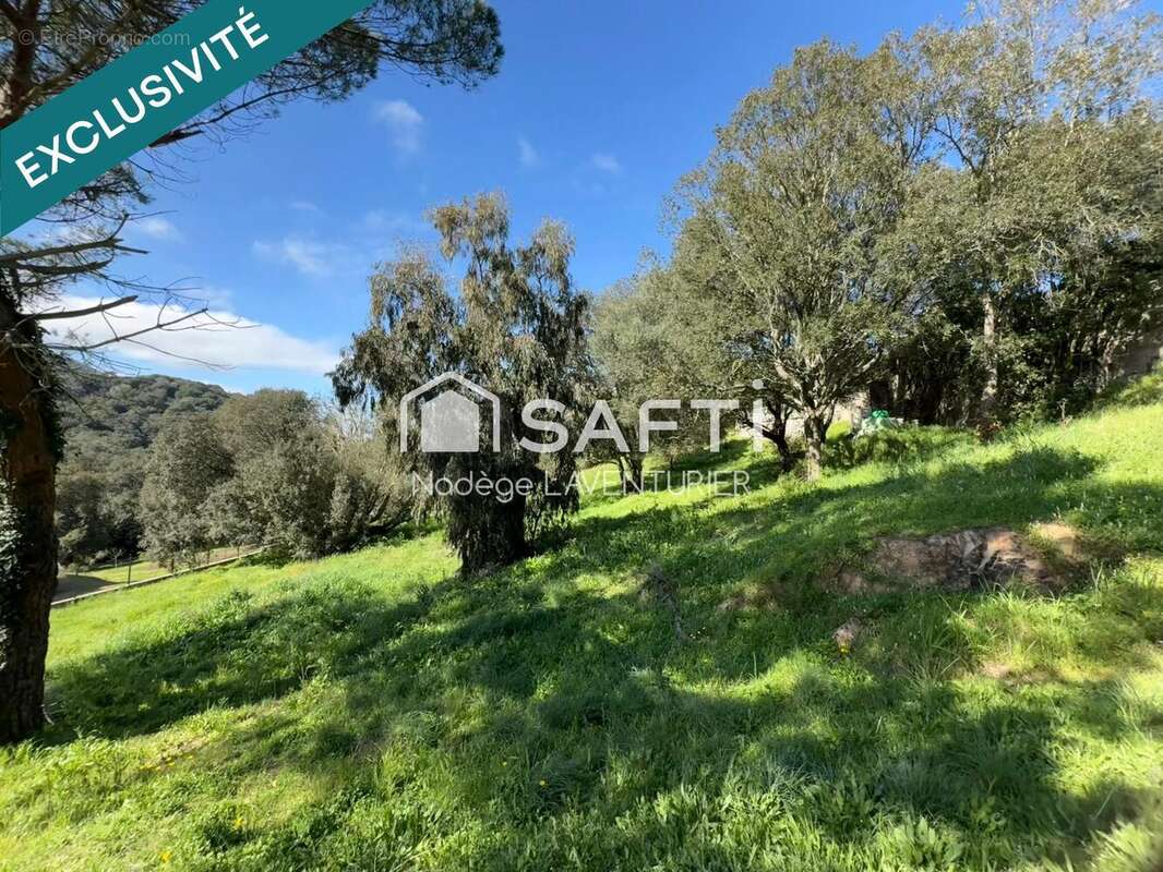 Photo 6 - Terrain à ALATA