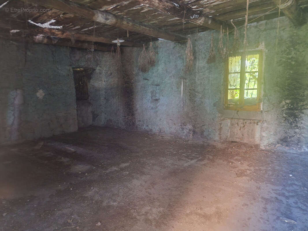 Maison à SAINT-FLORENT-SUR-AUZONNET