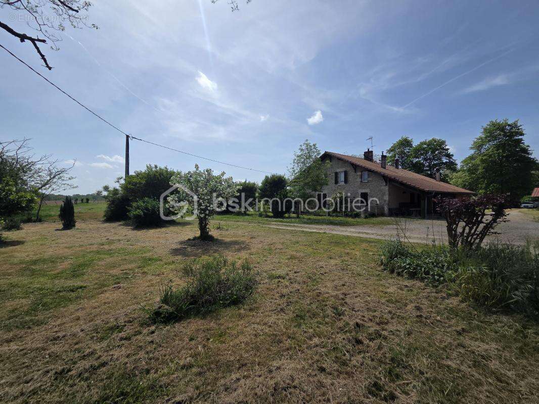 Maison landaise au cœur de la nature - photo 10