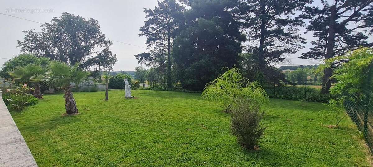 Maison à AIRE-SUR-L'ADOUR