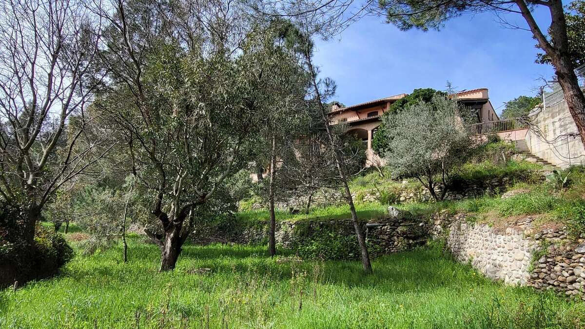 Photo 5 - Maison à SAINT-JEAN-PLA-DE-CORTS