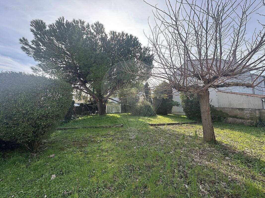 Maison à MESCHERS-SUR-GIRONDE