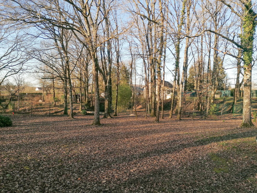 Terrain à ROMORANTIN-LANTHENAY