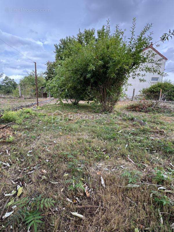 Appartement de 68 m² - photo 13