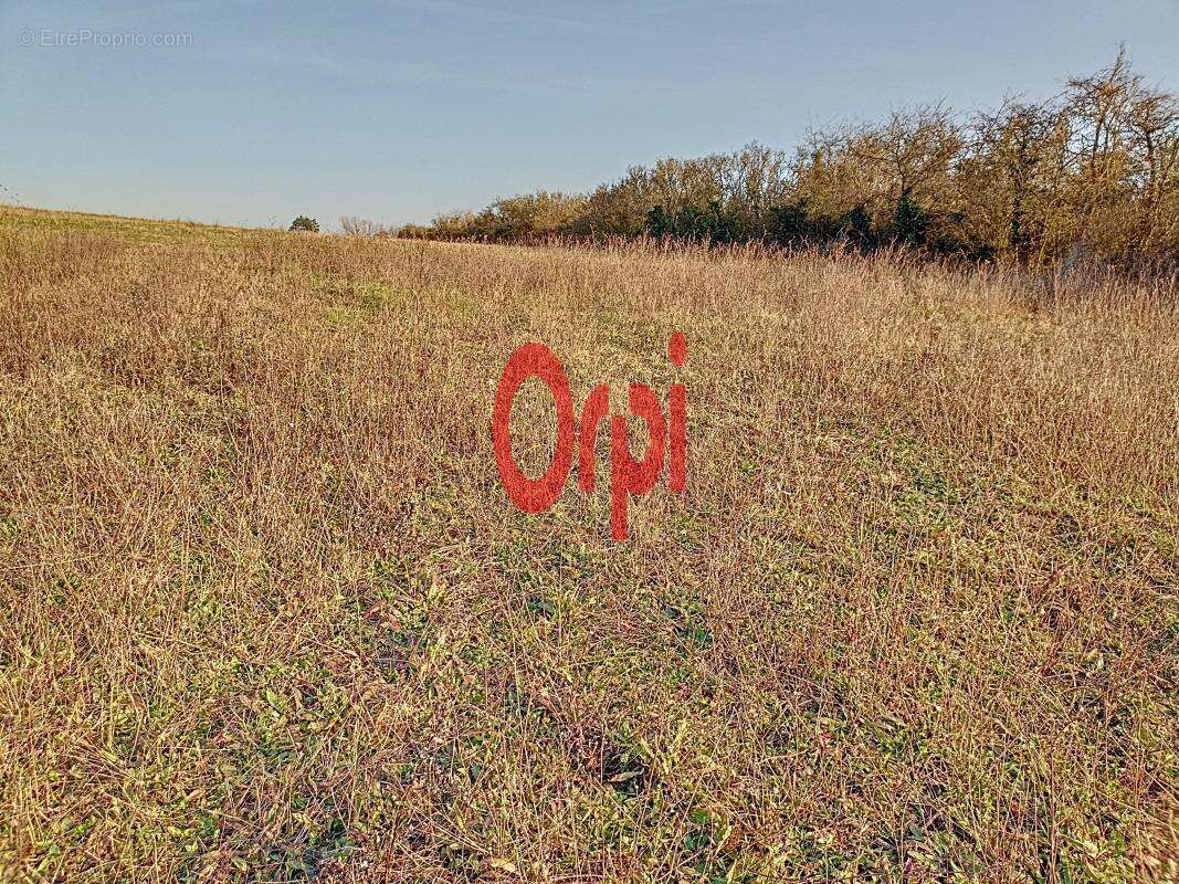 Terrain à MONTOIRE-SUR-LE-LOIR