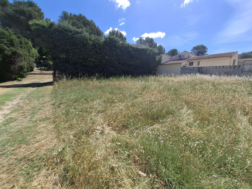 Terrain à FONTVIEILLE