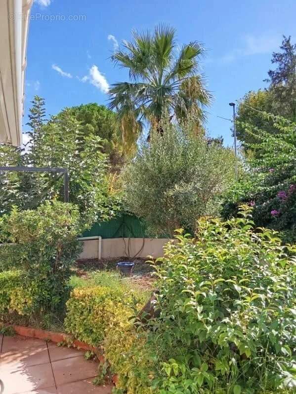 Maison à SOLLIES-PONT