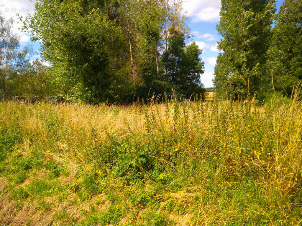Terrain à COULANGES