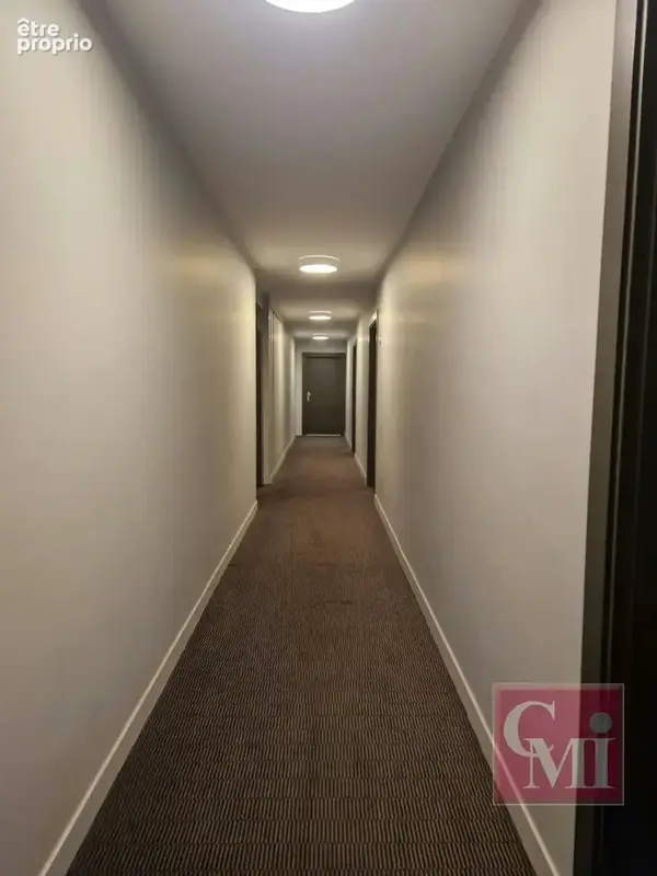 Grand appartement 3 chambres et terrasses ! - photo 9
