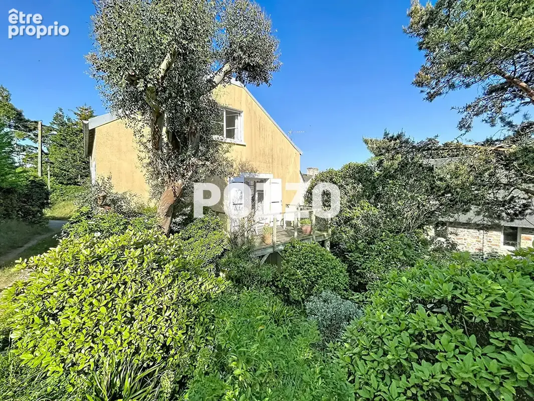 MAISON  86 m2 SAINT-PAIR-SUR-MER - 5 pièces-  Jardin 255m² - photo 4