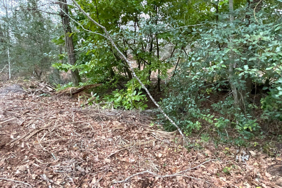 Terrain à GRAYAN-ET-L&#039;HOPITAL