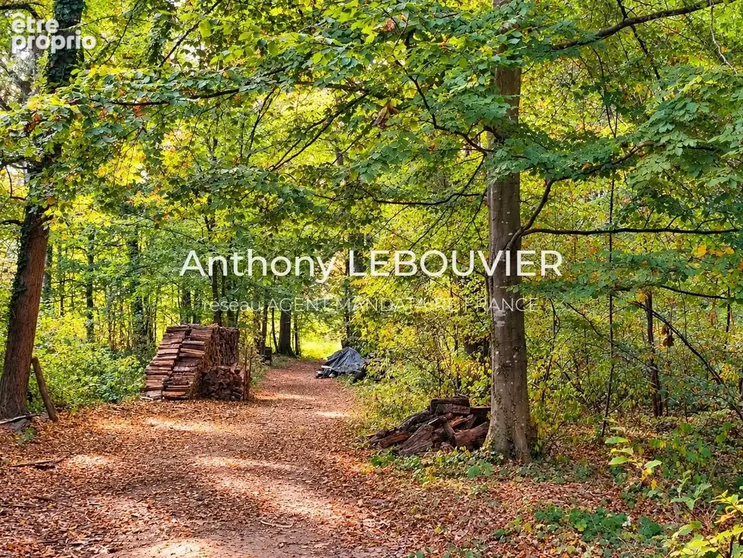 Propriété de caractère sur environ 20 hectares – axe laon / reims - photo 18