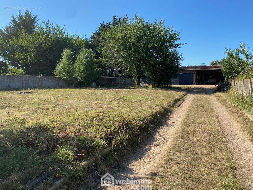 Terrain - Terrain à SAINT-HILAIRE-LA-FORET