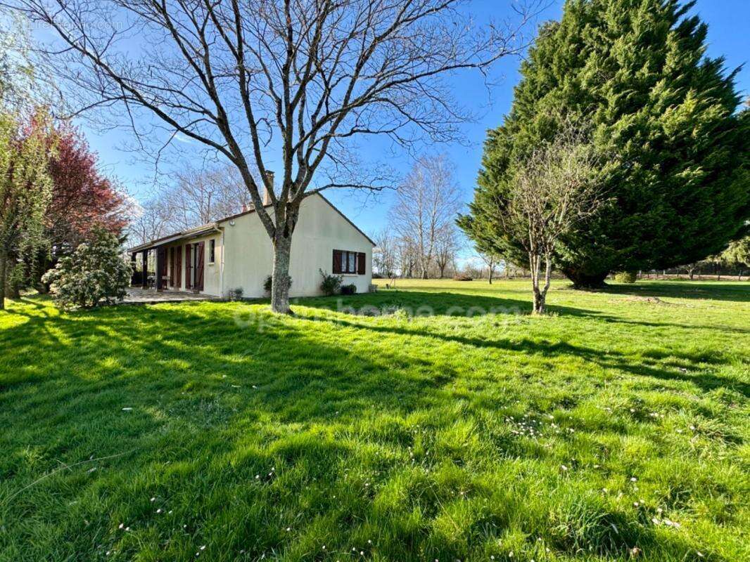 Maison familiale spacieuse de 169 m2 avec jardin - photo 10