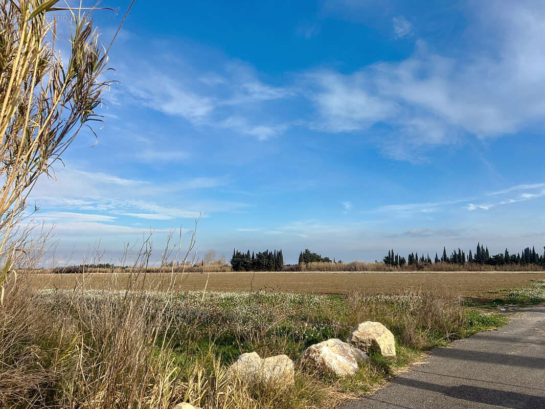 Terrain à SAINT-HIPPOLYTE