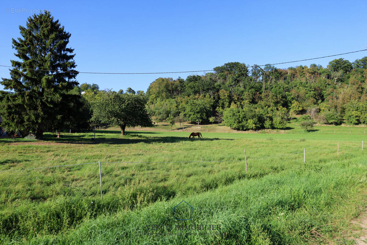 Terrain à ETTENDORF
