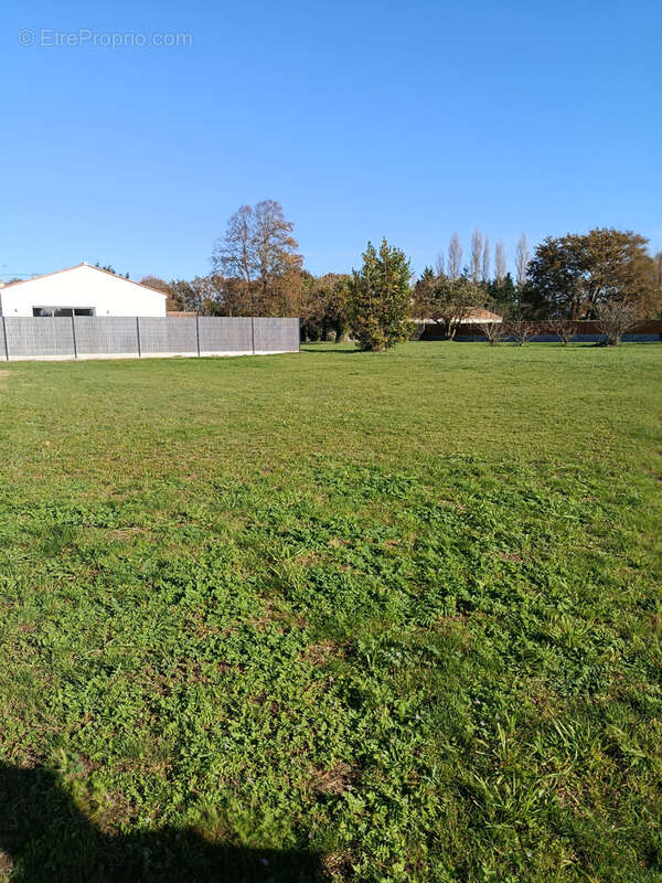 Terrain à ARTHON-EN-RETZ