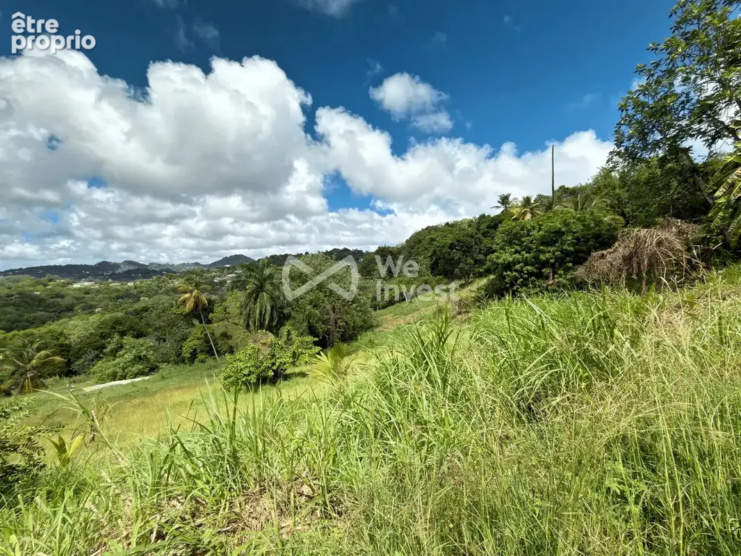 Terrain 973 m² à vendre à Le Vauclin (97280) - photo 7