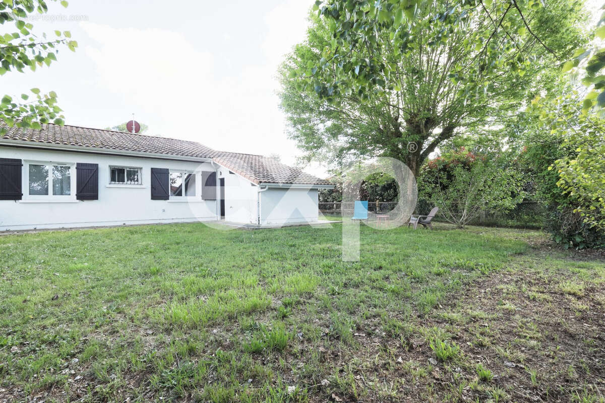 Maison 56 m² à Saint-Pierre-Du-Mont  - photo 4