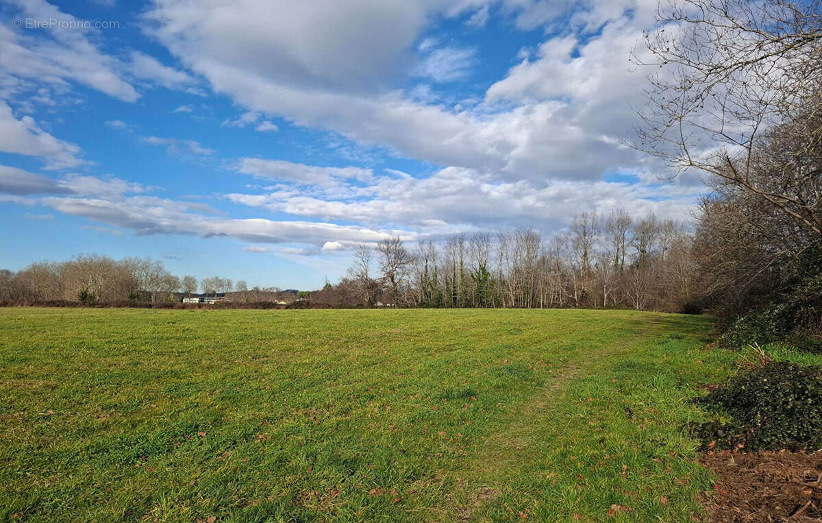 Terrain à SAINTE-MARIE-DE-GOSSE