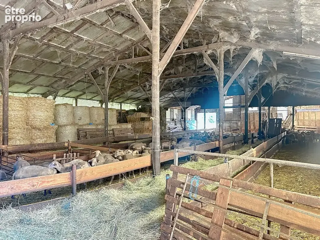 TARN - Propriété agricole spécialisée en élevage ovin - photo 5