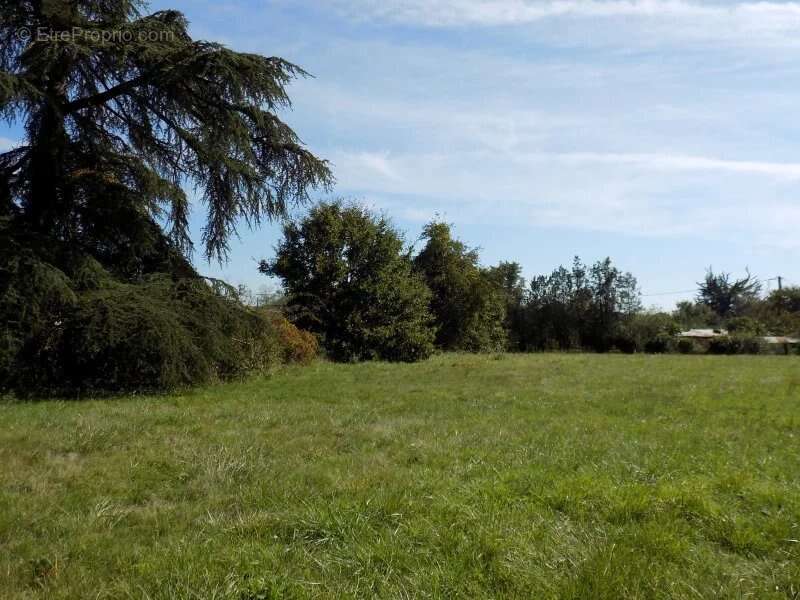 Terrain constructible proche Mirande - photo 3