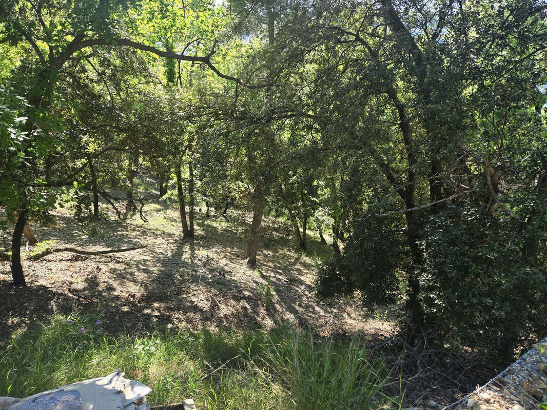 Terrain à SAINT-MARTIN-DU-VAR