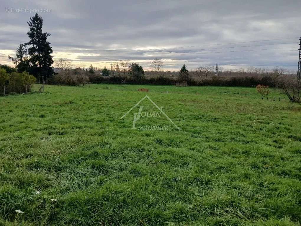Terrain à VARENNES-SUR-ALLIER