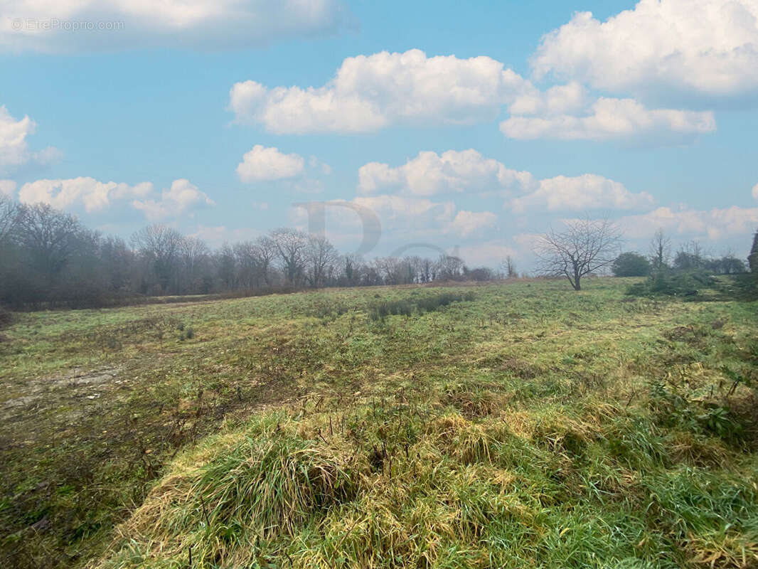 Terrain à MONTABARD