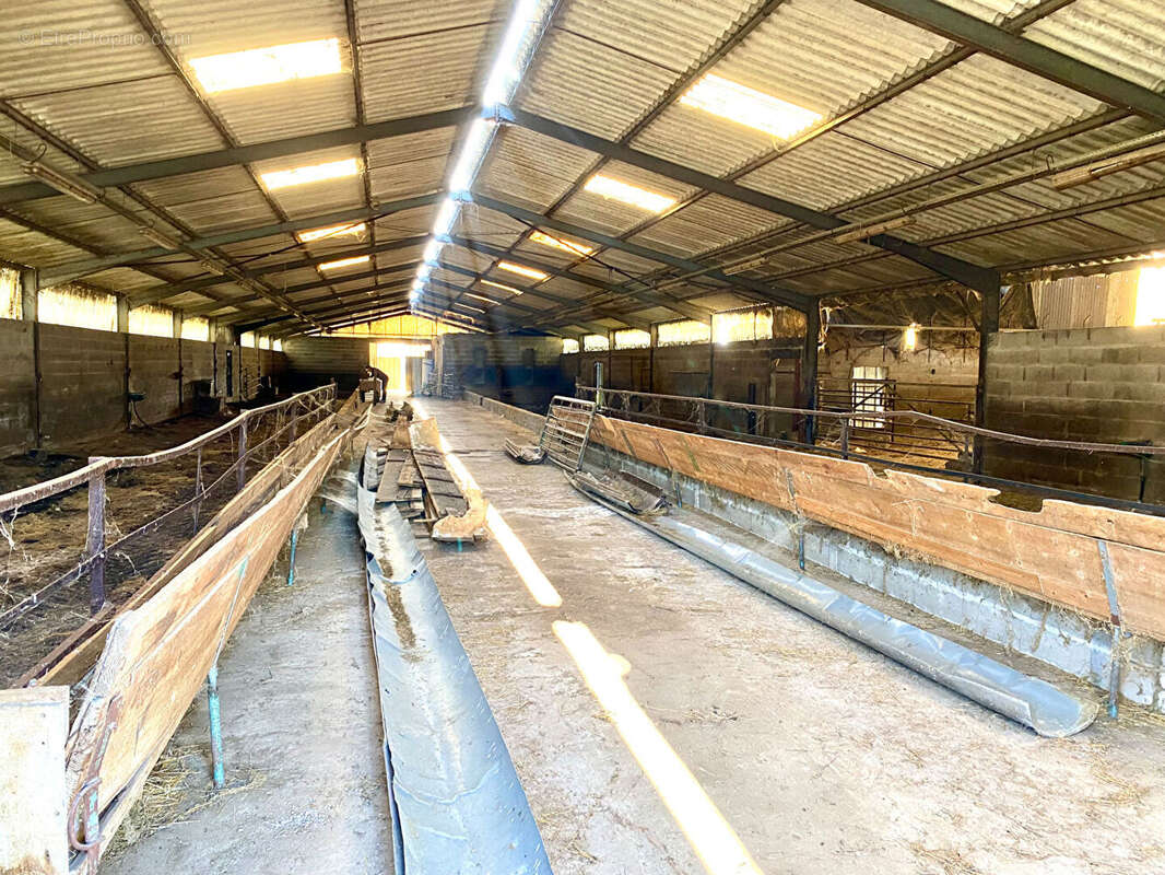 Terrain à CHATILLON-SUR-CHER