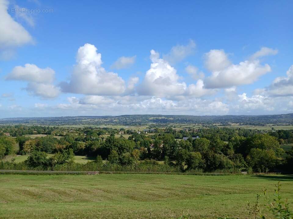 Terrain à REUX