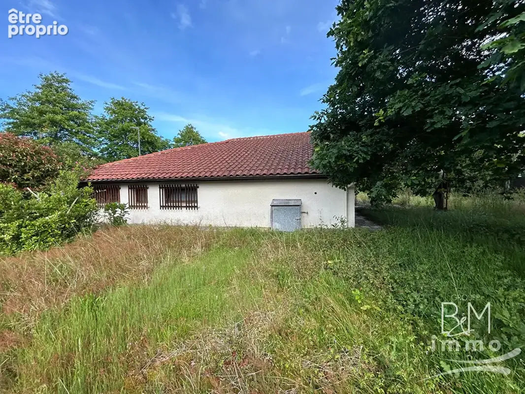 Tosse : charme de l'ancien & fort potentiel - photo 8