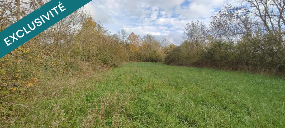 Photo 4 - Terrain à GENOUILLE