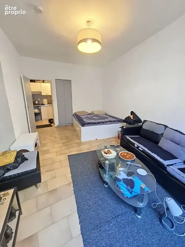 Appartement Nimes 1 pièce(s) 24.66 m2 - photo 2
