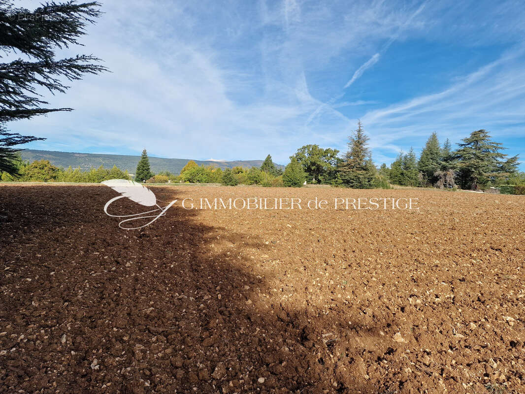 Terrain à SAULT