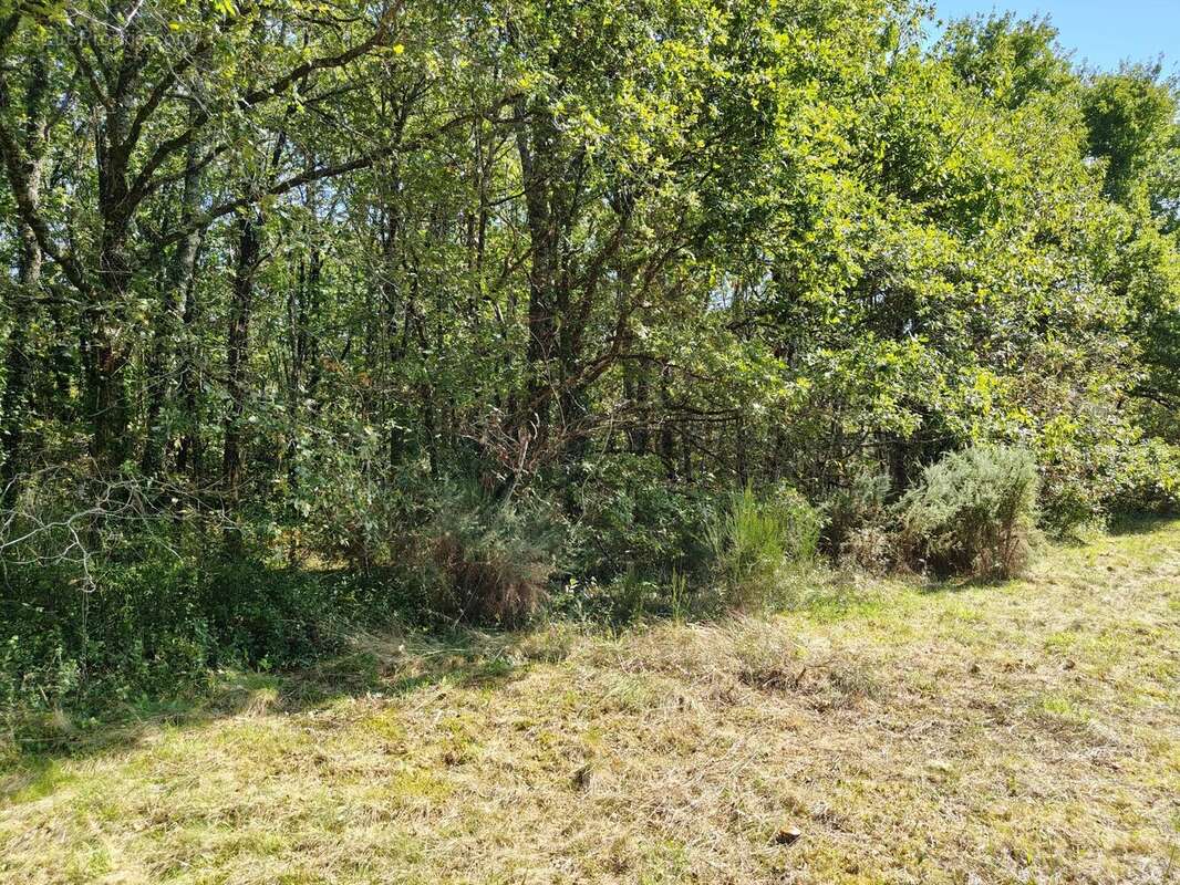 Terrain à PIEGUT-PLUVIERS