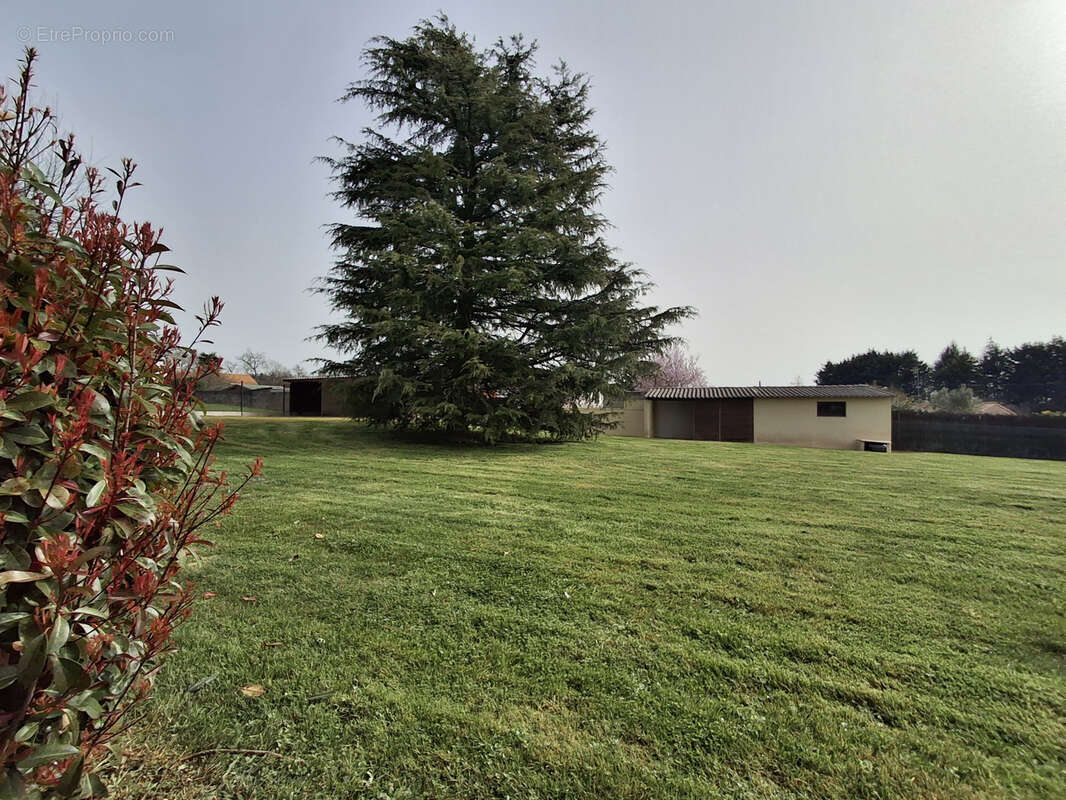 Maison à LA FERRIERE