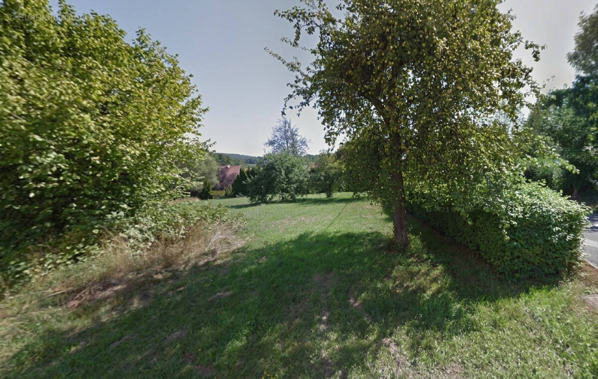 Terrain à ECHAVANNE