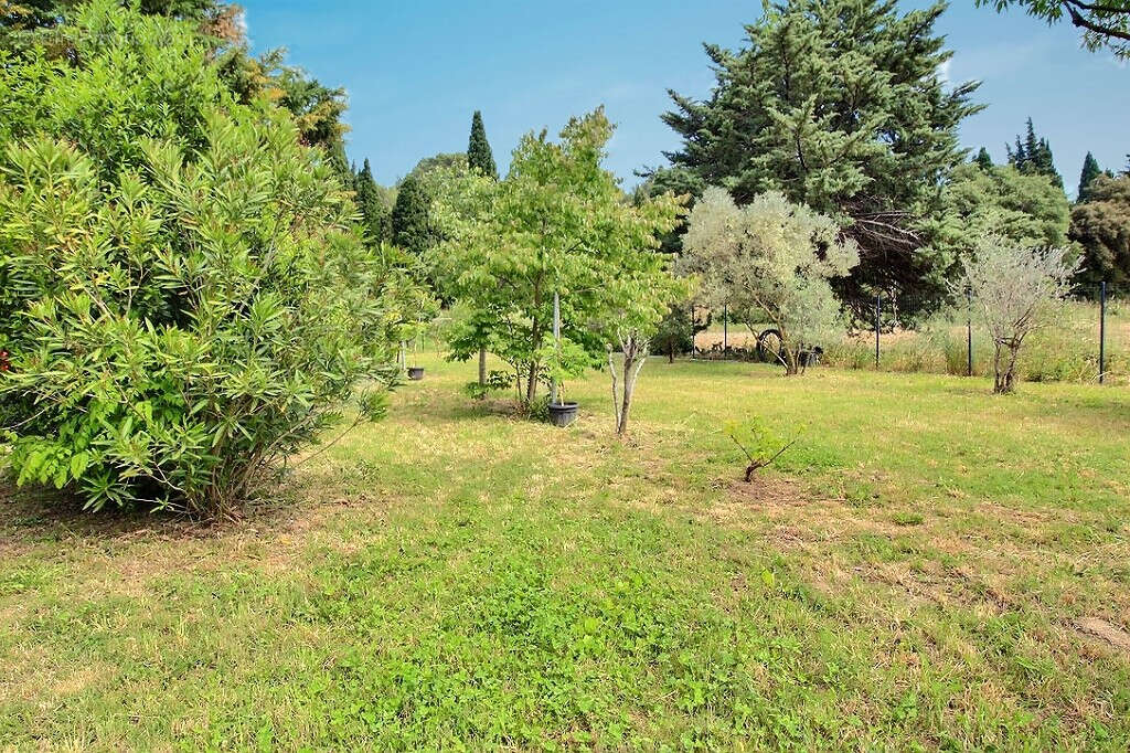 EXCLUSIVITÉ - Maison de 240m² entièrement rénovée avec piscine, véranda et 5 suites - photo 18