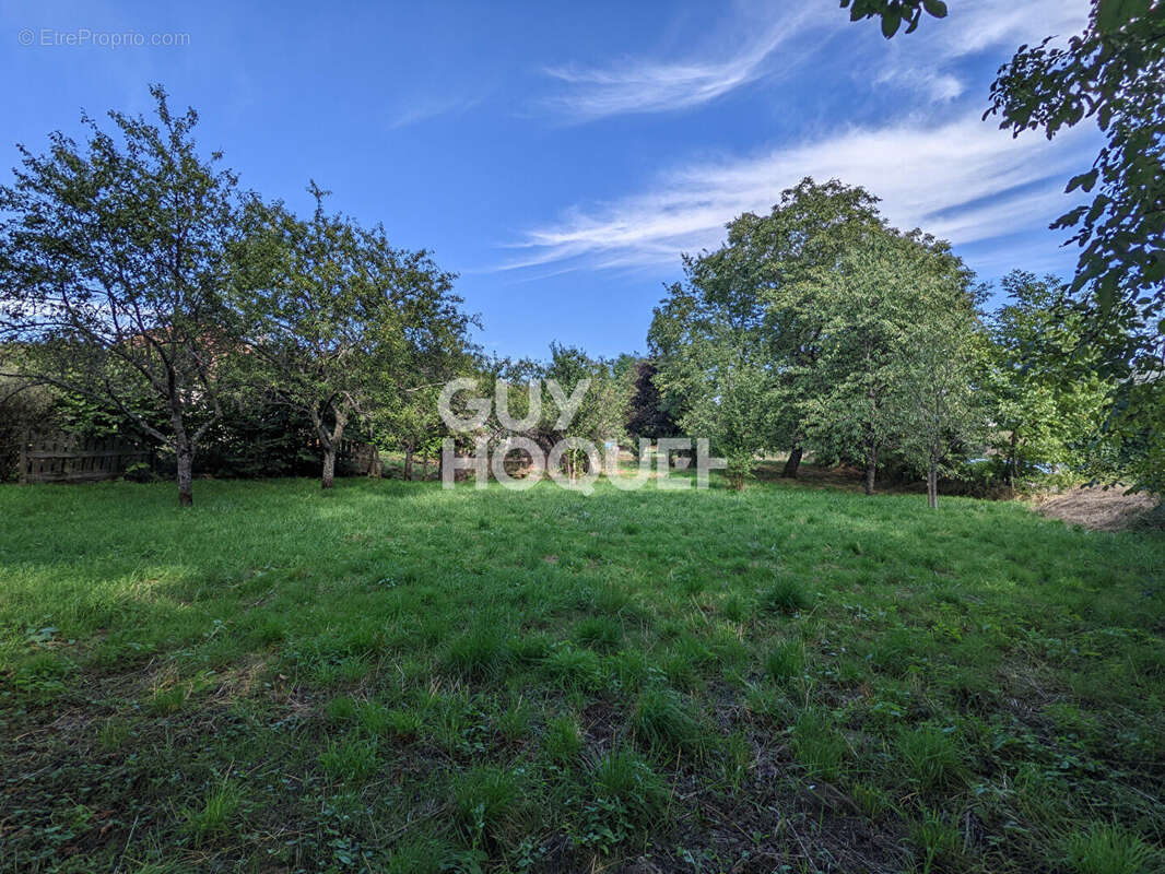 Maison à VAIRE-LE-PETIT