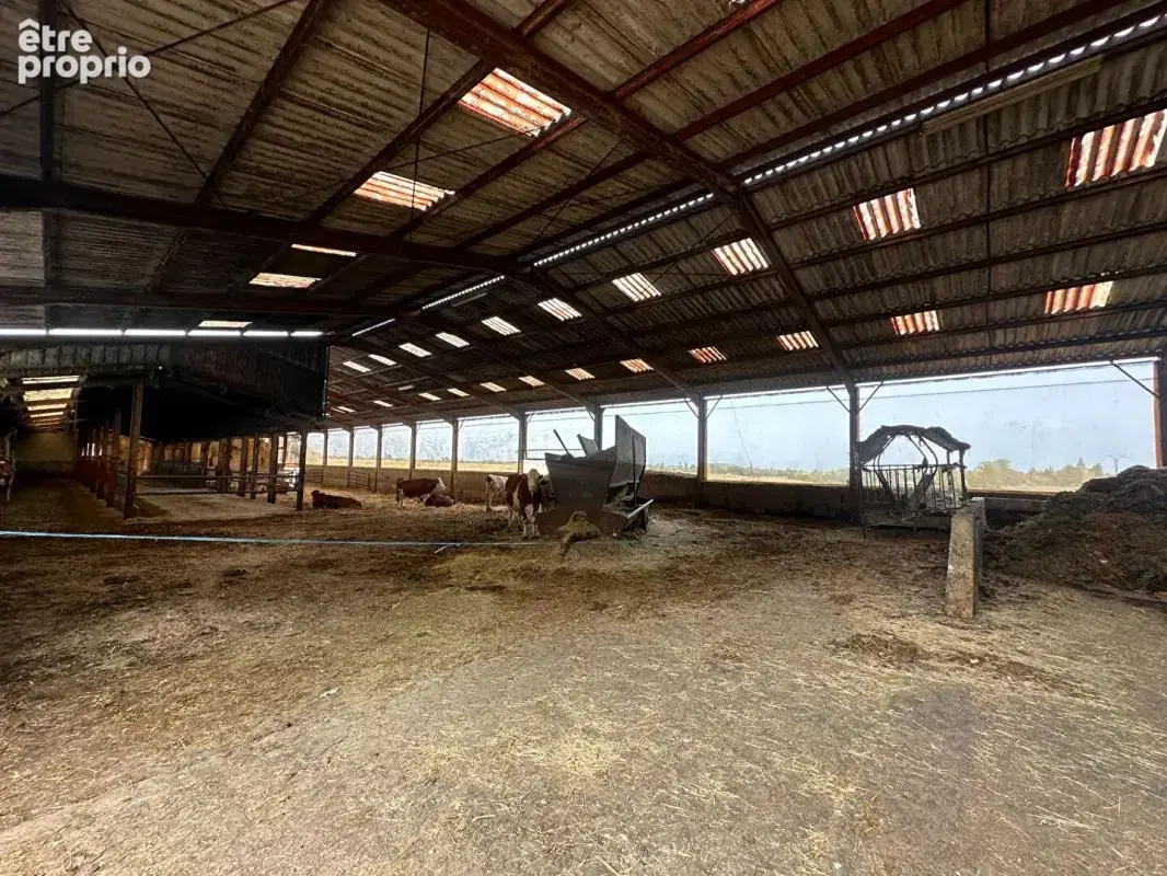 **exclusivite** saint jean sur reyssouze - ferme de caractère - 8 bâtiments -  210 000 m² de terrain - maison de 148 m² - photo 8