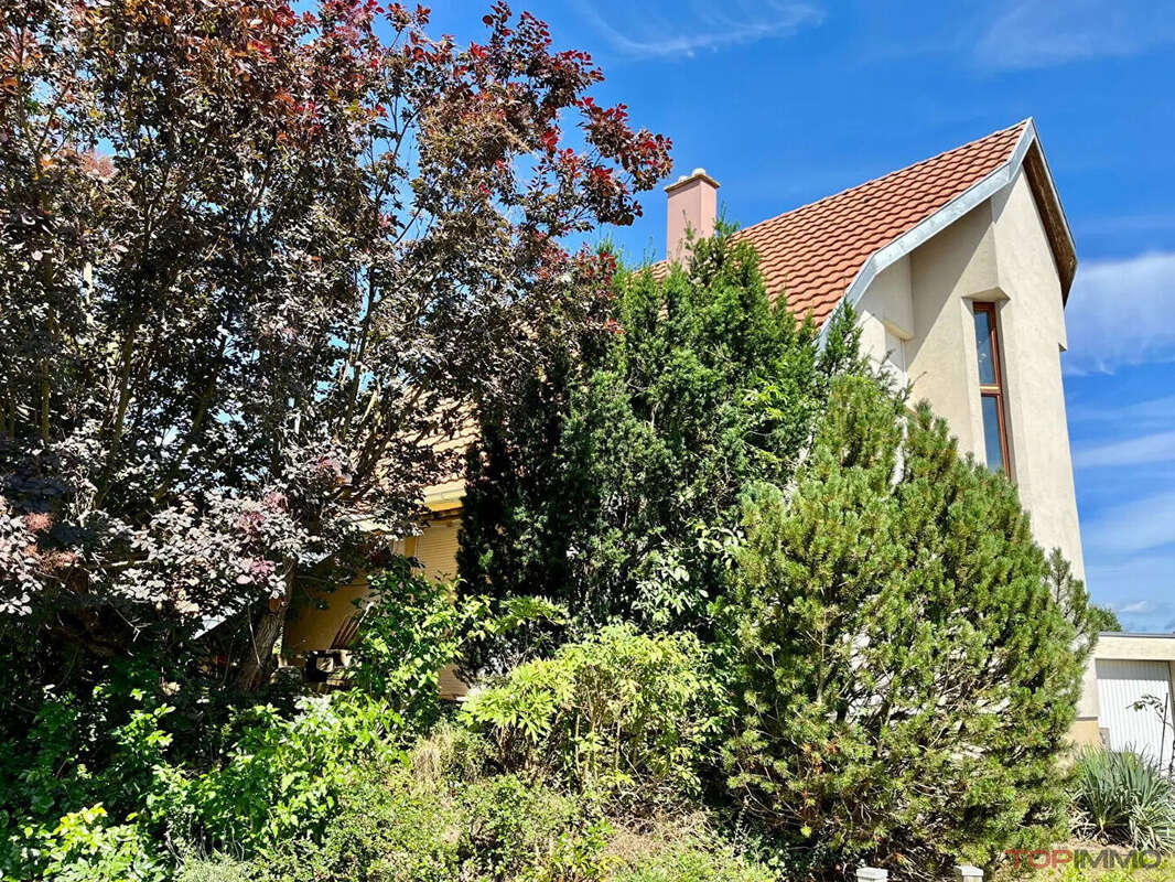 Maison à ALGOLSHEIM