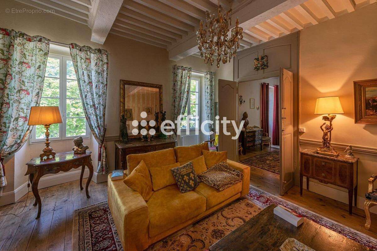 Maison 242 m² à Villeneuve-Sur-Vere  - photo 4