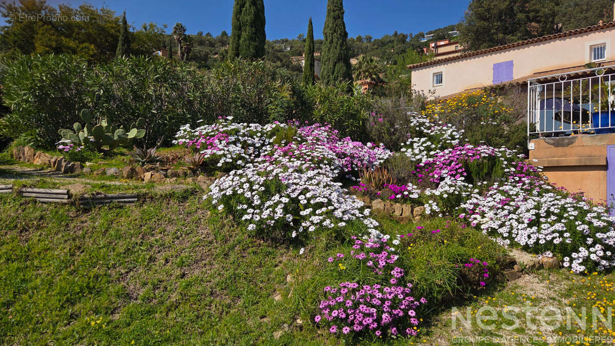 Maison avec vue exceptionnelle à vendre à La Londe-les-Maures - Secteur Valcros - photo 5
