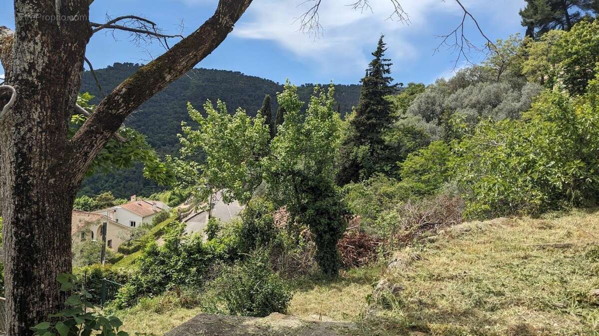 Terrain à BARGEMON