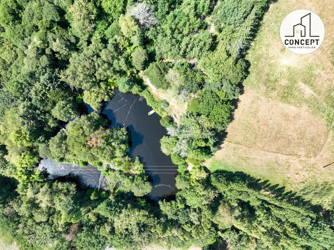 #C742 A vendre - Terrain de loisir avec cabane et plan d'eau - photo 4