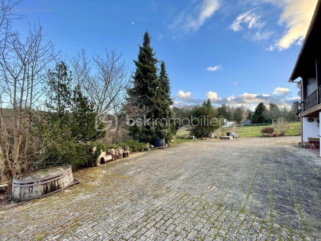 Maison à WANGENBOURG-ENGENTHAL