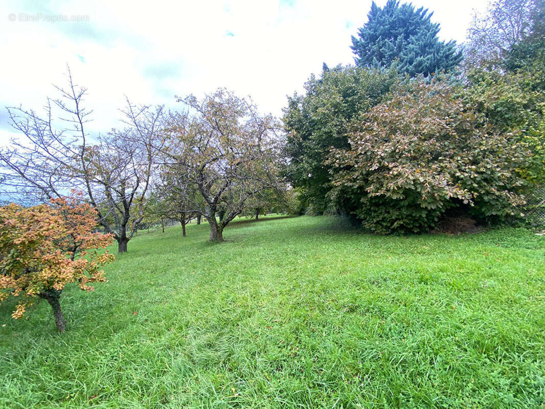 Maison à HEIDWILLER