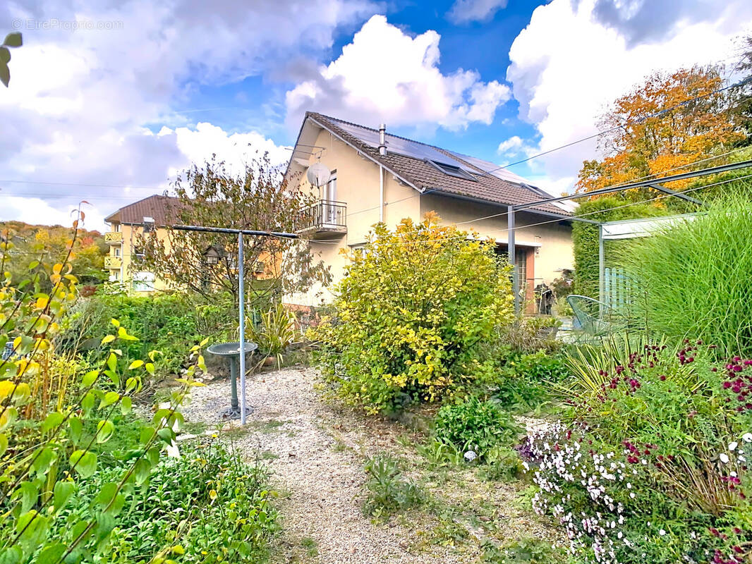 Maison à FECHE-L&#039;EGLISE
